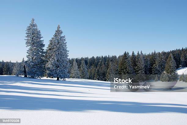 Long Shadows En La Nieve Foto de stock y más banco de imágenes de Adulto - Adulto, Aire libre, Alegría