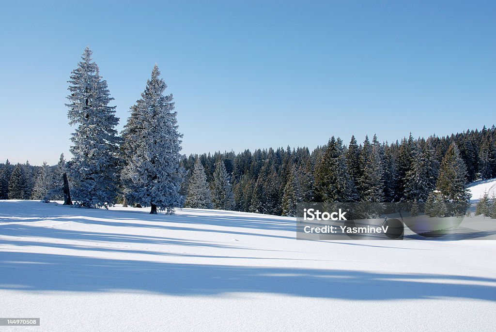 Longas sombras na neve - Foto de stock de Adulto royalty-free