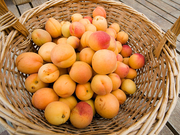 istock Basket of fresh apricots 144970578