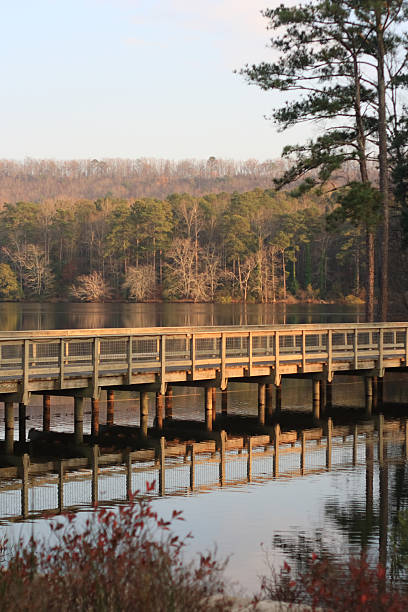 istock Wooden Bridge Over Lake 144970613