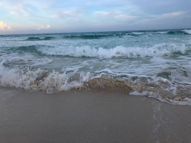 istock Beach in Cancun, Mexico - Mexican beach resort 1449706149