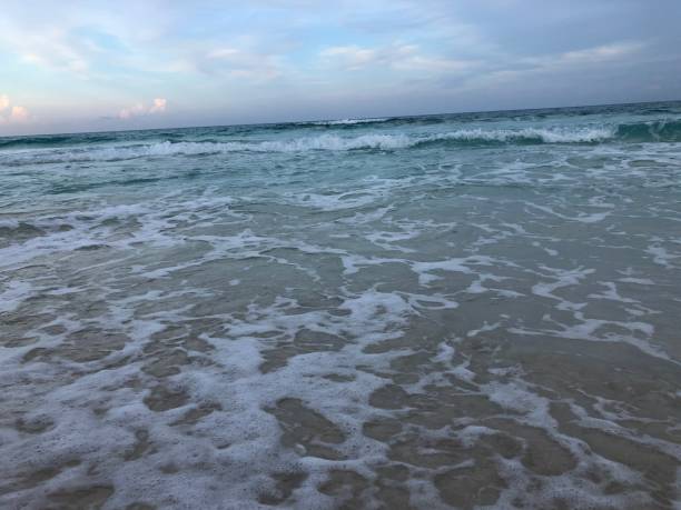 istock Beach in Cancun, Mexico - Mexican beach resort 1449706283