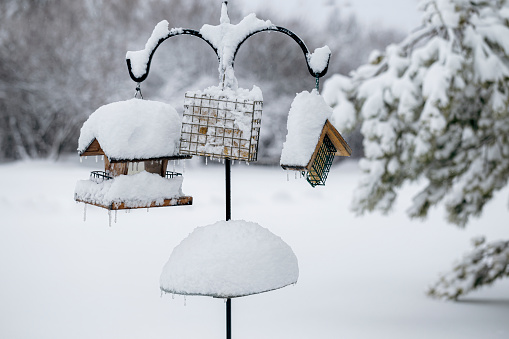 Snow covered sunflower seed and suet bird feeders after a winter snowstorm.