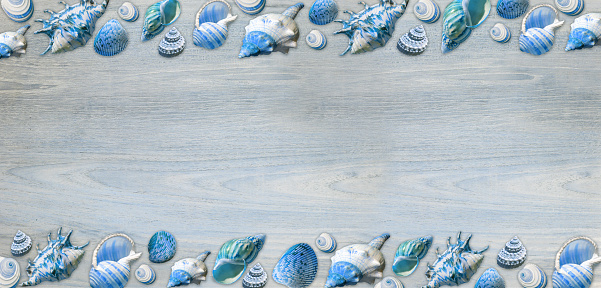 Blue and green seashells border for text on wood background. Tropical wooden plunk background with seashells. Copy space.