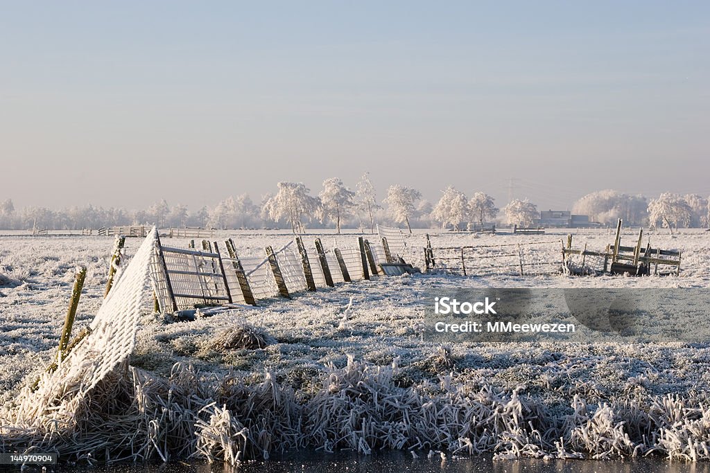 Ледяной пейзаж - Стоковые фото Белый роялти-фри
