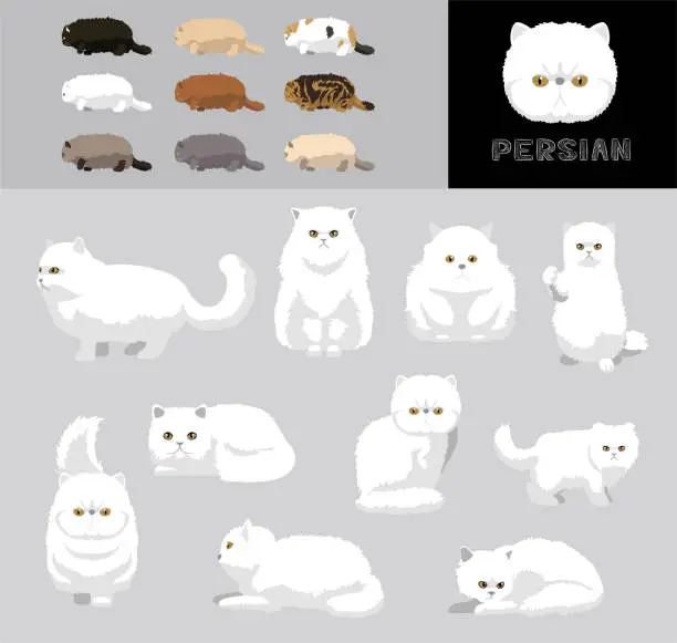 Vector illustration of Cat Persian Cartoon Vector Illustration Color Variation Set