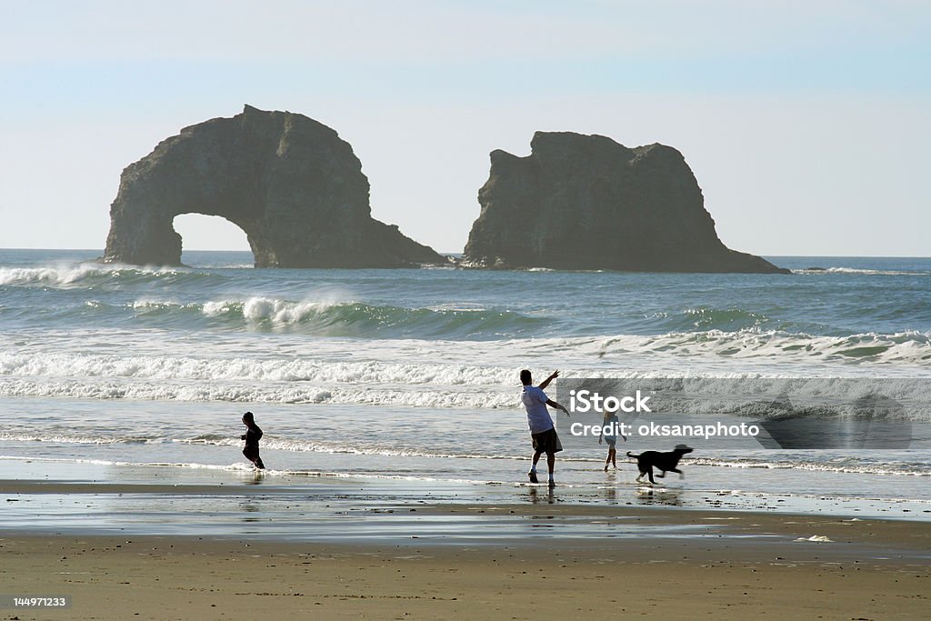 La spiaggia - Foto stock royalty-free di Cane