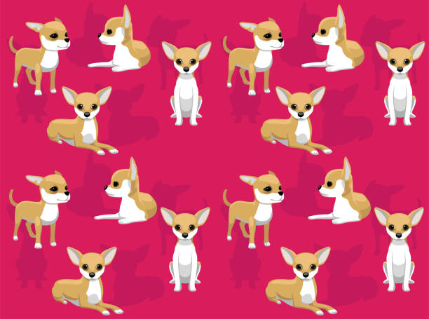 Ilustración de Perro Chihuahua Poses Lindo Personaje Fondo De Pantalla Sin Costuras y más Vectores Libres de Derechos de Abrigo - iStock Ilustración de Perro Chihuahua Poses Lindo Personaje Fondo De Pantalla Sin Costuras y más Vectores Libres de Derechos de Abrigo - iStock