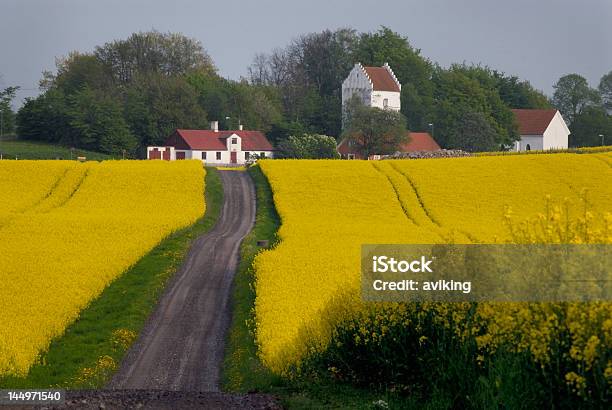 Rapsfeld Mit Kirche Stockfoto und mehr Bilder von Skane - Skane, Raps, Kirche