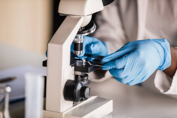 Lab tech in protective gloves putting a slide with a scientific sample under a microscope stock photo