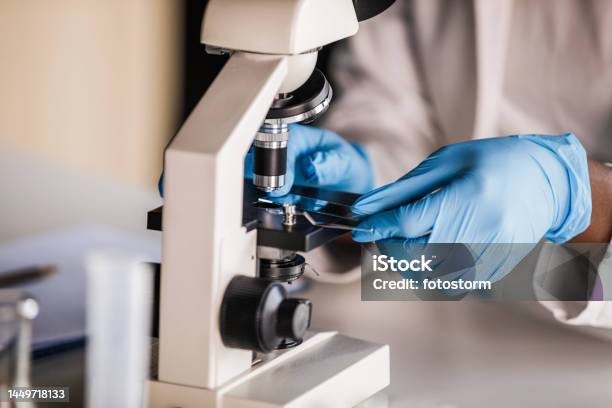 Lab Tech In Protective Gloves Putting A Slide With A Scientific Sample Under A Microscope Stock Photo - Download Image Now