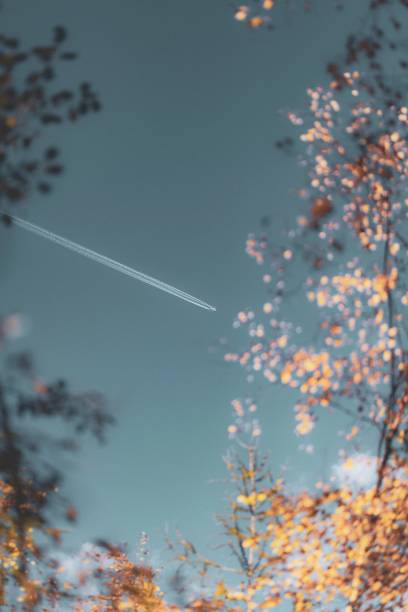 flugzeug und seine kondensstreifen am himmel über einem gelben laubwald - rawpixel stock-fotos und bilder