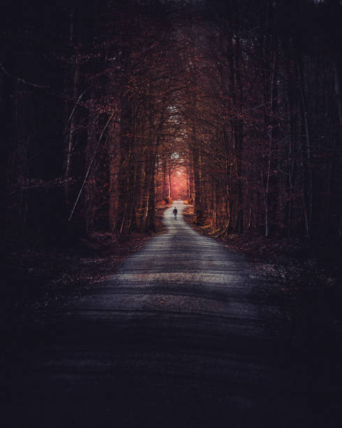 istock Man walking through the forest of Vaihingen an der Enz, Germany 1449727553
