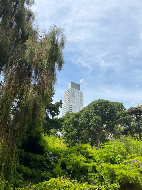 istock City park with trees and skyscraper 1449733049
