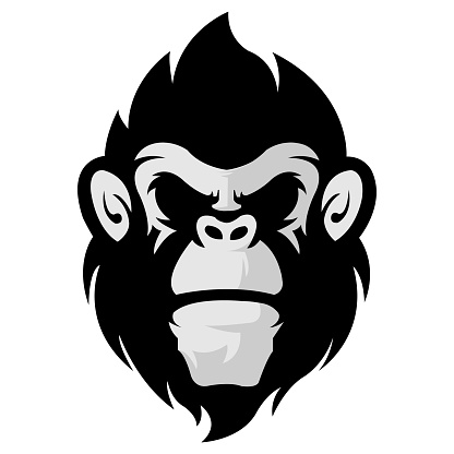 angry gorilla head logo template vector. Monkey face logo template vector.EPS 10