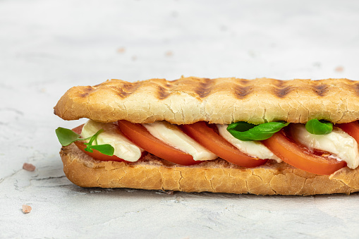 panini caprese with tomato, mozzarella and basil, Caprese Panini Sandwich. Delicious breakfast or snack, Clean eating, dieting, vegan food concept. top view.