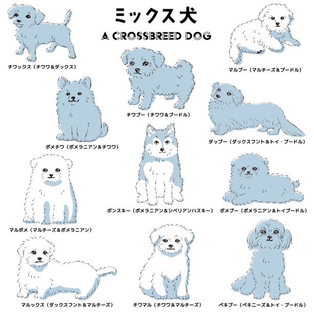 かわいい人気の混合犬の手描きの線画ベクターイラストセット - dog mixed breed dog puppy white background点のイラスト素材／クリップアート素材／マンガ素材／アイコン素材