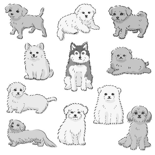 かわいい人気の混合犬の手描きの線画ベクターイラストセット - dog mixed breed dog puppy white background点のイラスト素材／クリップアート素材／マンガ素材／アイコン素材