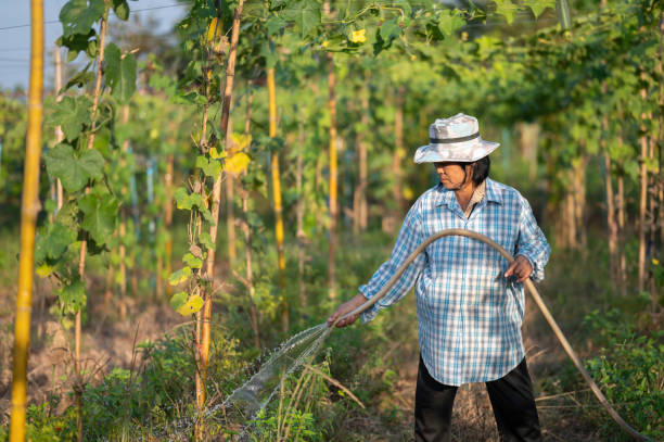istock Female farmer. agriculture and cultivation concept. 1449748816