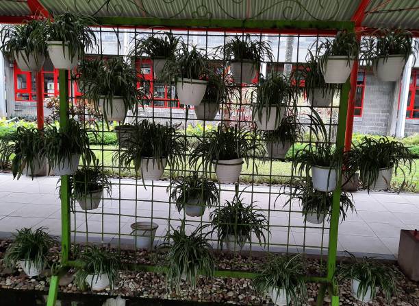istock garden with hanging flowers in pots 1449748997