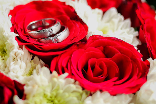 A red rose with wedding bands tucked in the petals.