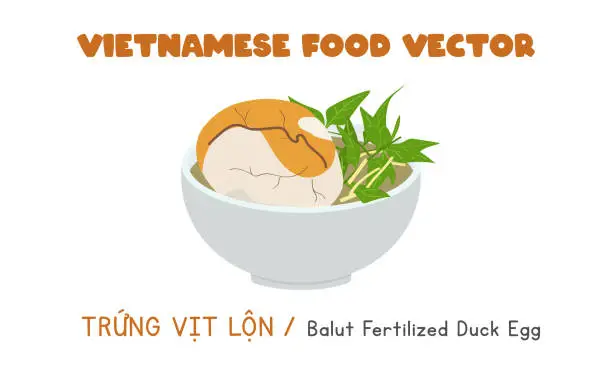 Vector illustration of Vietnamese balut fertilized duck egg flat vector. Trung Vit Lon clipart cartoon. Asian food. Vietnamese cuisine. Vietnamese exotic food vector design