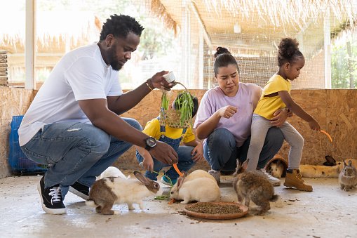 African American family, father, mother, son and daughter feed the rabbits in the farm. Holiday and travel concept