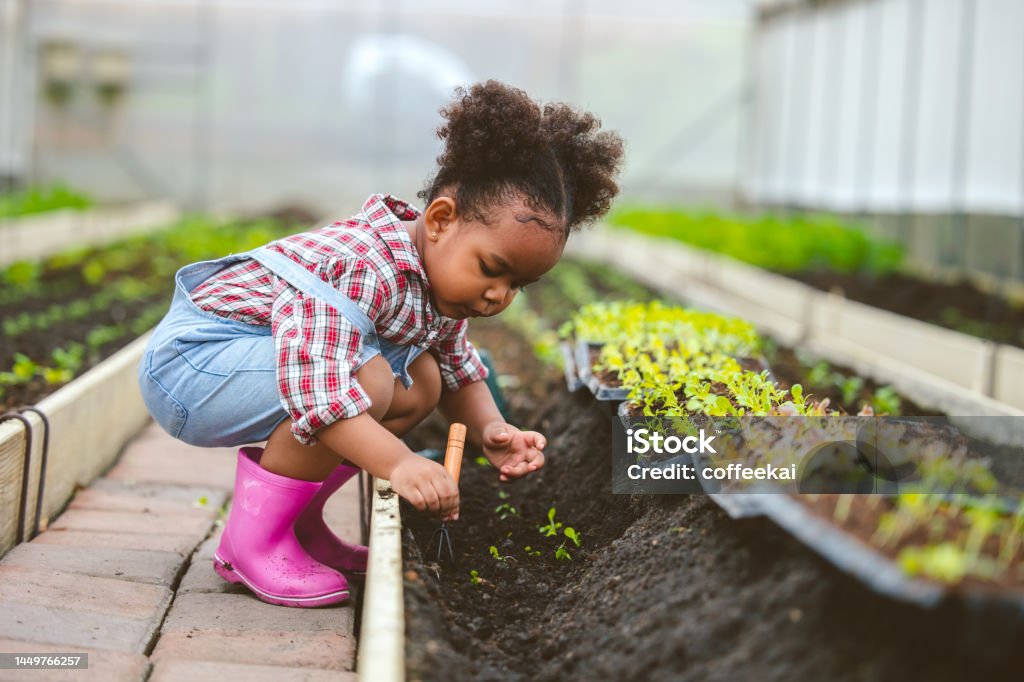 Child play planting the green tree in the garden. Child Stock Photo