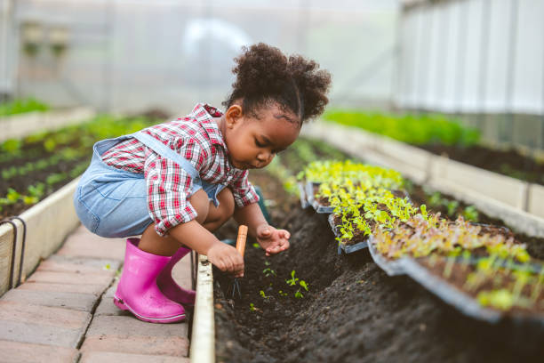 Child play planting the green tree in the garden. stock photo