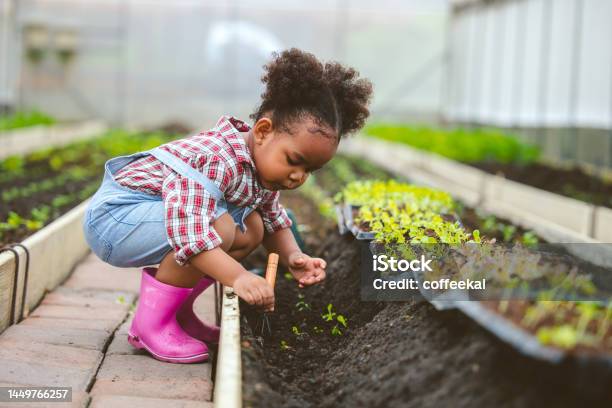 Child Play Planting The Green Tree In The Garden Stock Photo - Download Image Now - Child, Gardening, Playing