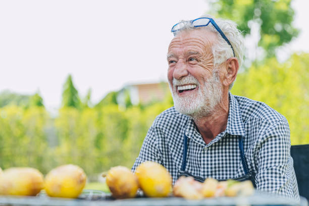 glücklicher älterer mann gesunder senior selbstbewusstes lächeln im park im freien mit schönen weißen zähnen von prothesenprothesen. - toothy smile relaxation white healthcare and medicine stock-fotos und bilder