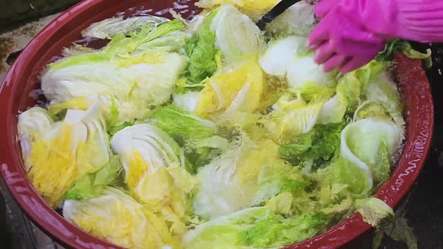 Washing cabbage to make kimchi