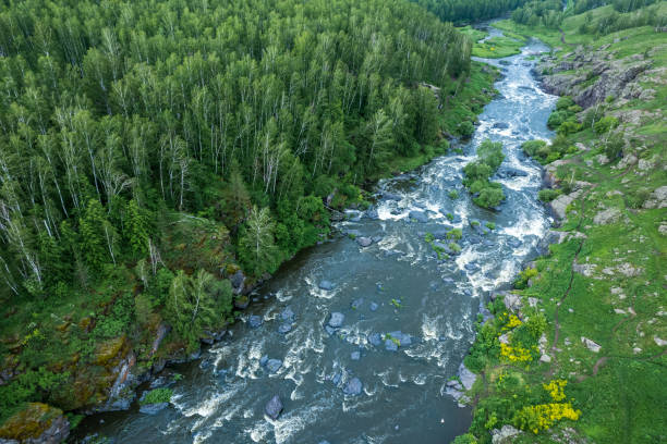 istock natural landscape from a drone on a stormy river with rapids among the forest 1449771501