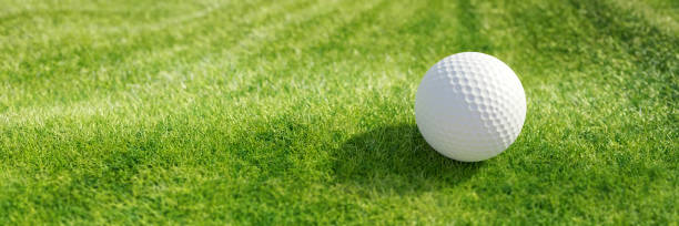 istock Golf ball on green grass sport course, close up view, banner, copy space. 3d 1449771599