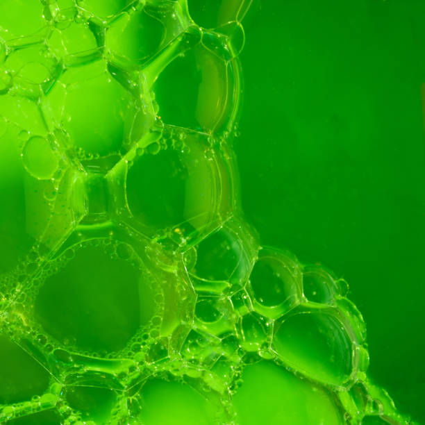 istock Beautiful green balloons make an abstract composition 1449774462