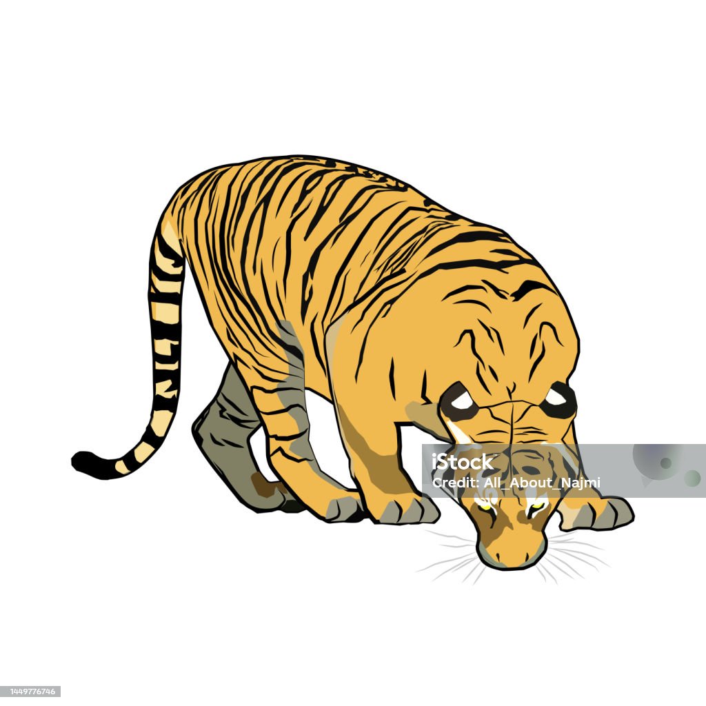 Malayan Tiger Stock Illustration - Download Image Now - Aggression