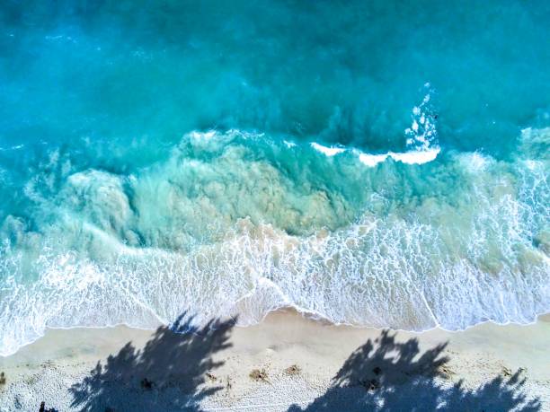 vista aerea dall'alto delle onde che si infrangono sulla spiaggia con un'ombra di alberi a waimanalo, oahu, hawaii - oahu water sand beach foto e immagini stock