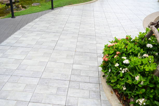 istock pavements with natural garden, construction industry 1449777775