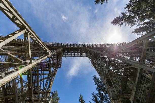 istock Low angle shot of the Ziemestal metallic bridge under the sun in Thuringia, Germany 1449777821