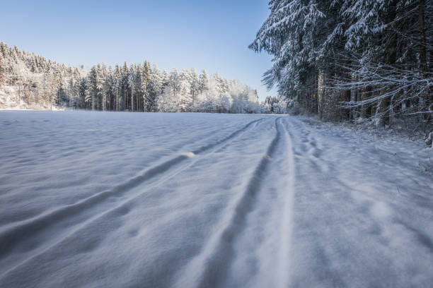 istock Winter landscape on a cold morning 1449778785