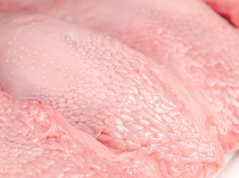 Macro Close-up of Pig Tongue Taste Buds