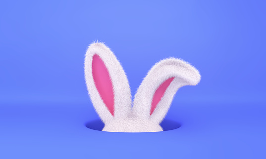 White rabbit in a hole on blue background. Year of the Rabbit. 3D rendering