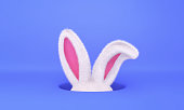 White rabbit in a hole on blue background