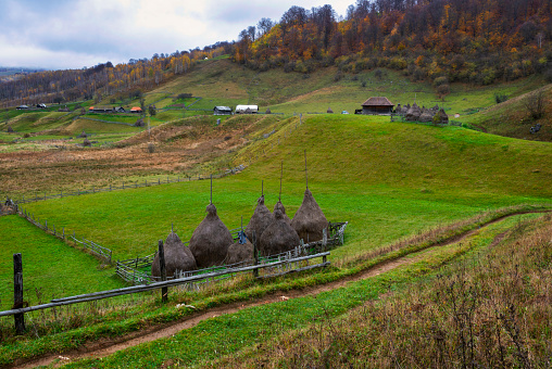 Carpathians mountain landscape. Transylvania, Romania, Europe.