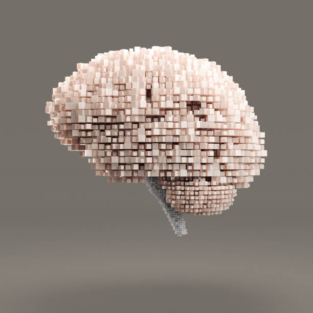 Digital brain stock photo