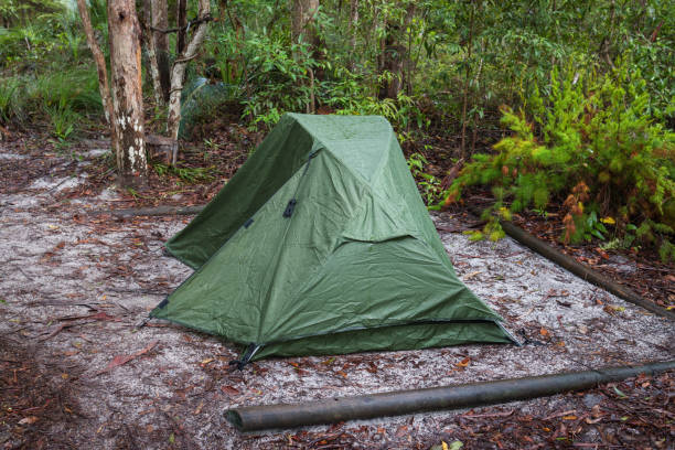 istock Camping on Fraser Island 1449787960