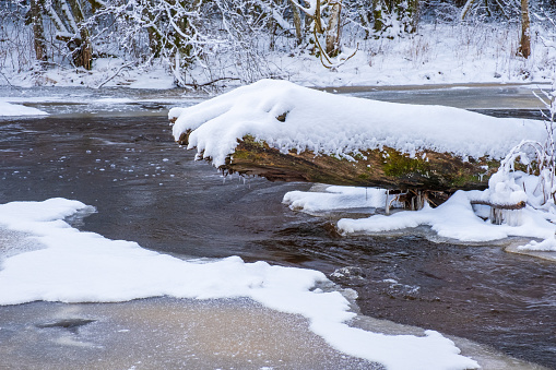 Wooden log in a river with ice and snow