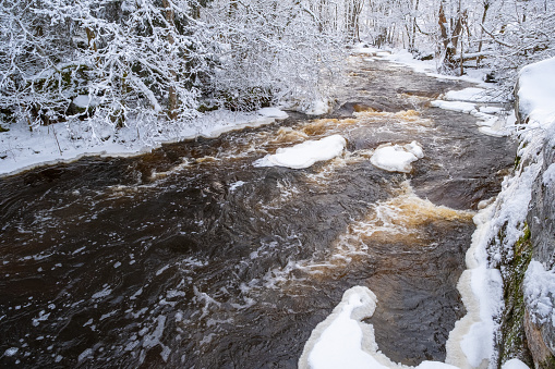 River with ice flow in a winter landscape