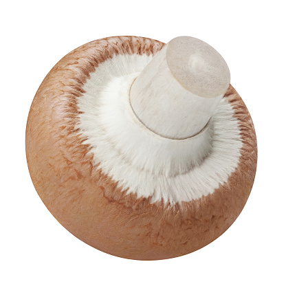 Delicious champignon mushroom, isolated on white background