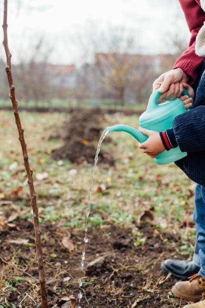 istock Child with father his watering planted seedling 1449794094